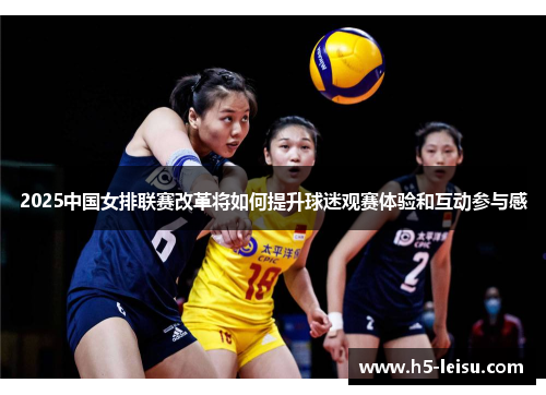 2025中国女排联赛改革将如何提升球迷观赛体验和互动参与感