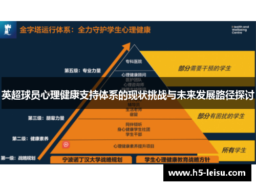 英超球员心理健康支持体系的现状挑战与未来发展路径探讨