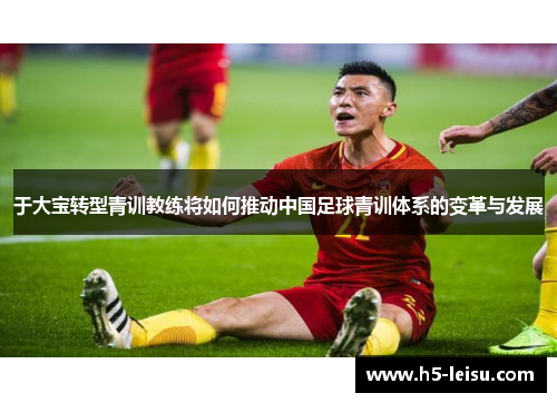 于大宝转型青训教练将如何推动中国足球青训体系的变革与发展