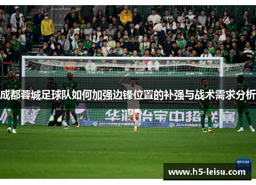 成都蓉城足球队如何加强边锋位置的补强与战术需求分析