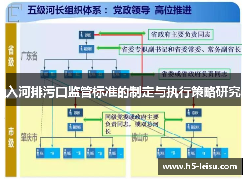 入河排污口监管标准的制定与执行策略研究