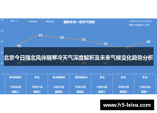 北京今日强北风伴随寒冷天气深度解析及未来气候变化趋势分析