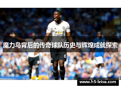 魔力鸟背后的传奇球队历史与辉煌成就探索